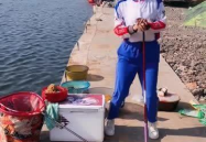 小姐姐跳大鱼,小姐姐演绎大鱼之美