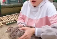 生物课本上的小姐姐照片,生物课本中的小姐姐风采